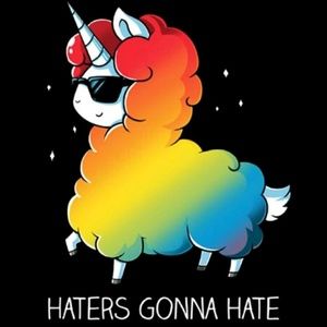 Meet your Posher, Ana